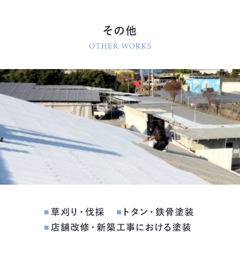 その他